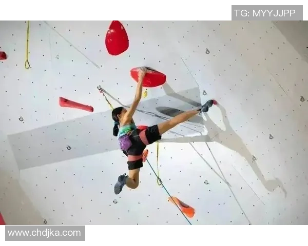 上海排球队勇攀高峰全国锦标赛背后的奋斗与荣耀故事