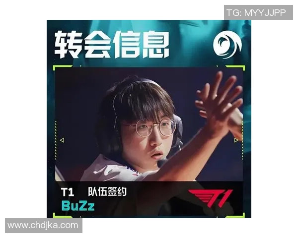 EDG团队协作新模式引发热议王者荣耀战术革新之路